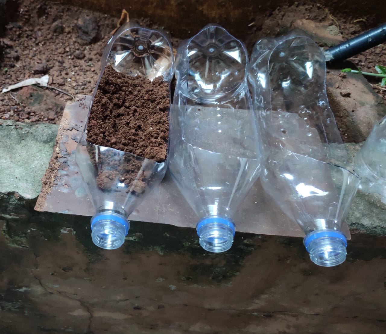 Soil Erosion Experiment How Do Plants Prevent Soil Erosion