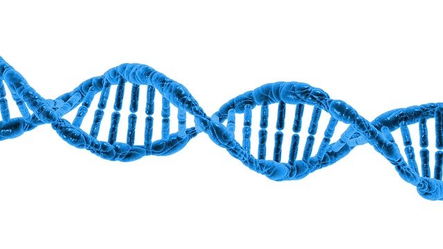 DNA Extraction At Home