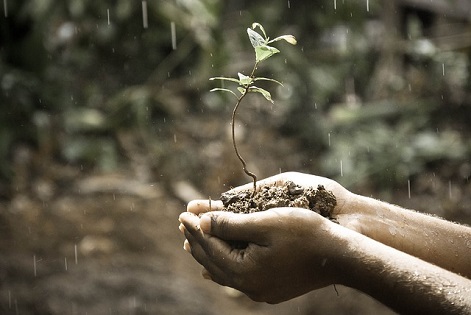 What Causes The Smell After Rain?