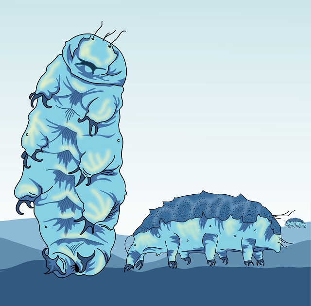 The Secret Lives of Tardigrades
