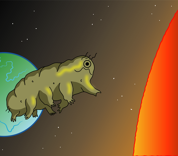 10 Interesting Facts about Tardigrades