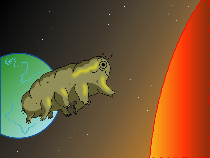 10 Interesting Facts about Tardigrades