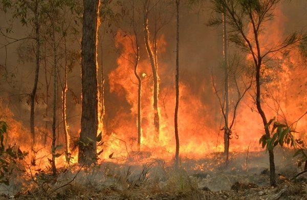 Australian Bushfires 2019
