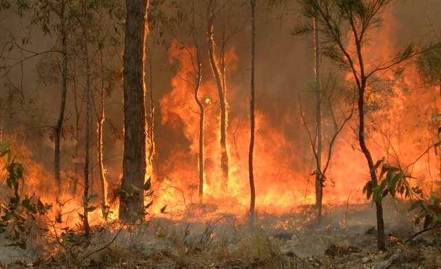 Australian Bushfires 2019