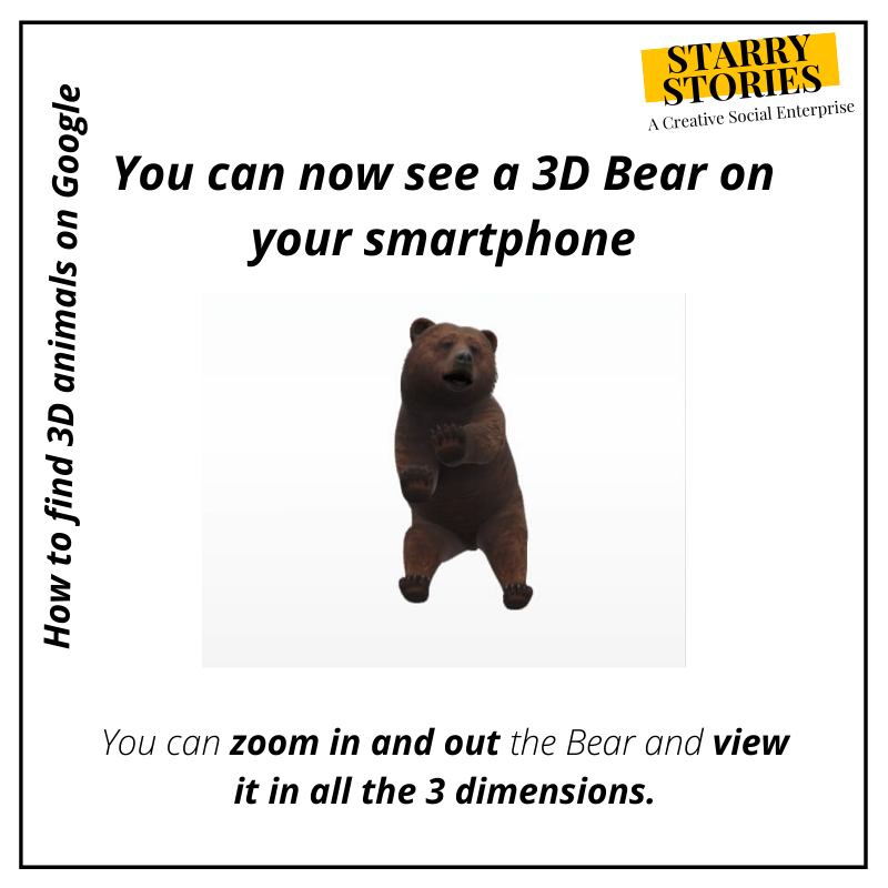 How To View 3D Animals On Google Hands on Educational 3D Models