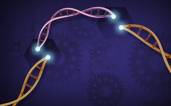 CRISPR Gene Editing Explained for Kids