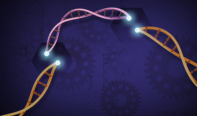 CRISPR Gene Editing Explained for Kids