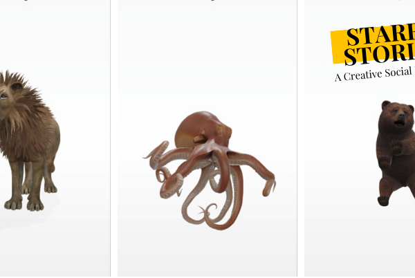 How To View 3D Animals On Google