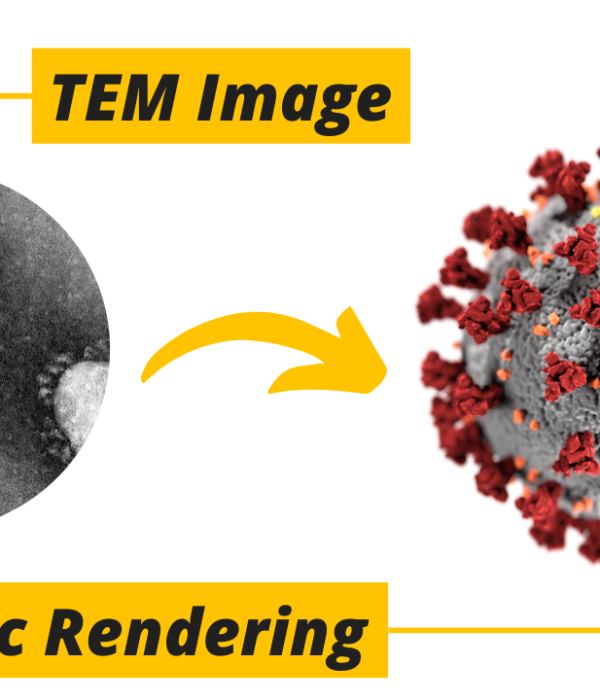 What is the True Colour of the Coronavirus?