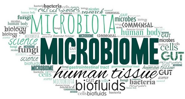 That Gut Feeling – Introduction to the Microbiome