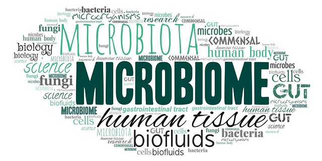 That Gut Feeling – Introduction to the Microbiome
