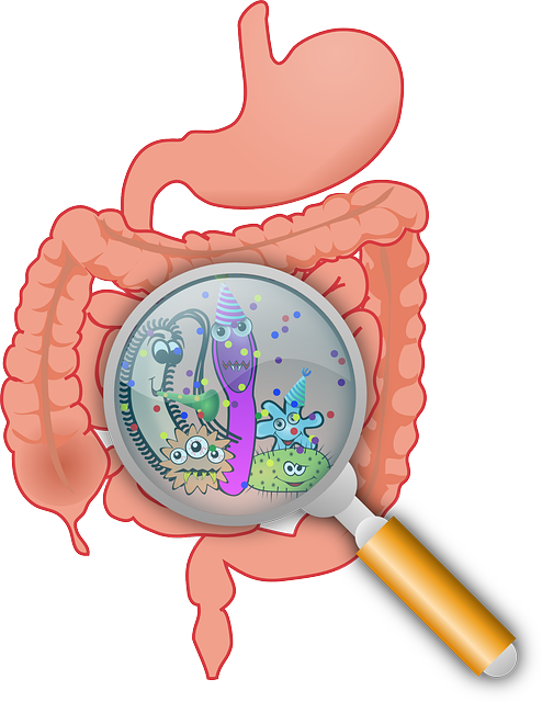 10 Interesting Facts About the Gut Microbiome