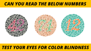 Colour Blindness Test