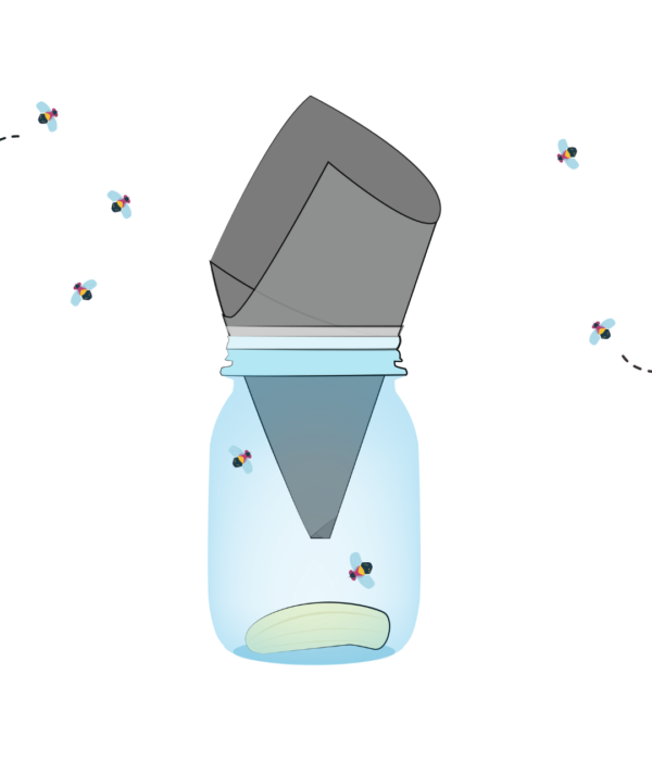 Start Your Own Fruit Fly Culture at Home