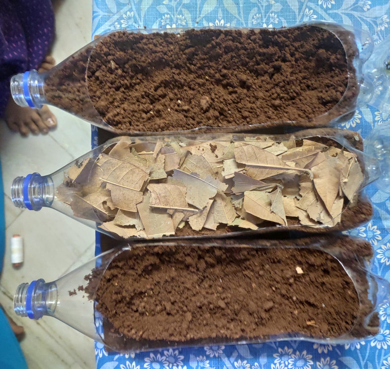 Soil Erosion Experiment How Do Plants Prevent Soil Erosion