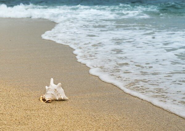 Specific Heat of the Water – Interesting Facts & Questions