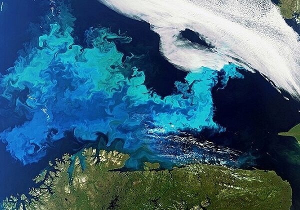 Where does the Oxygen on Earth come from?