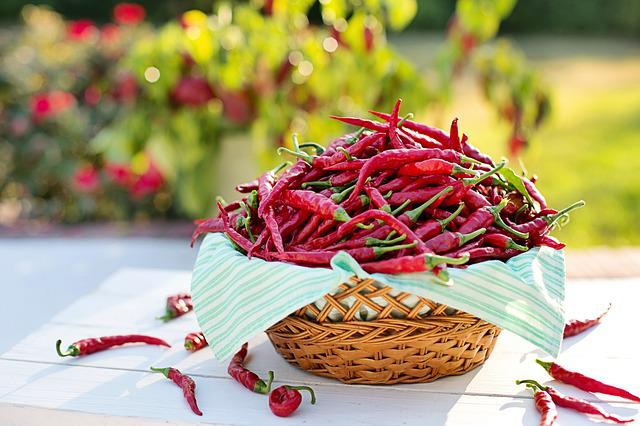 Why Chillies are Hot
