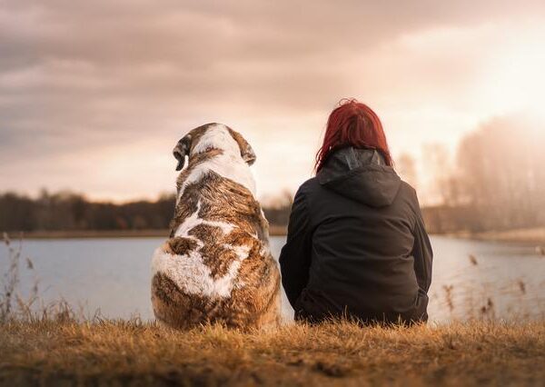 Humans and Dogs Relationship