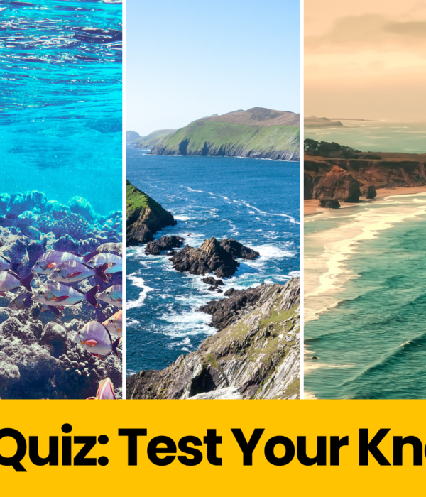 Oceans Quiz